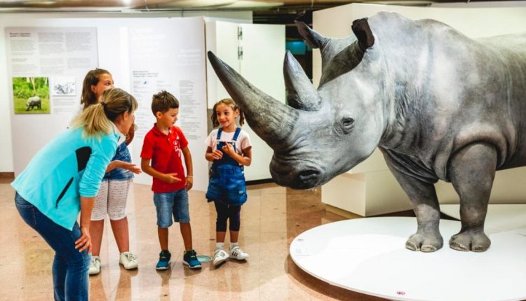 Riparte l’iniziativa “Domenica al museo” del Ministero della Cultura: tutti i Musei aperti della Regione Campania