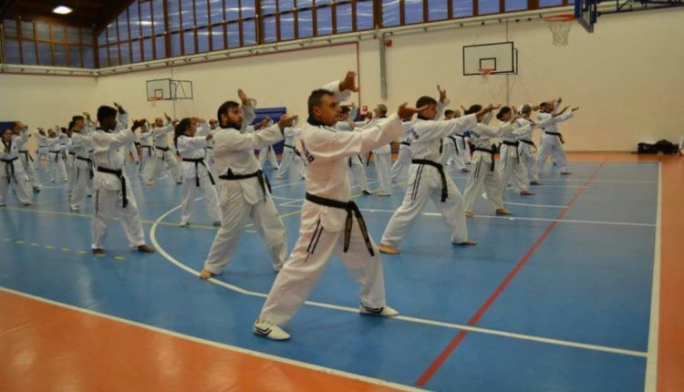 TAEKWONDO UNITAM SONG MOO KWAN-ITALIA (ENDAS/CONI): CORSO NAZIONALE DI AGGIORNAMENTO PER INSEGNANTI TECNICI