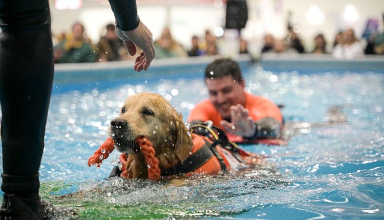 Quattrozampeinfiera Napoli 2025:  il 12 e il 13 aprile, alla Mostra d’Oltremare, due giorni indimenticabili per cani, gatti e il loro umani
