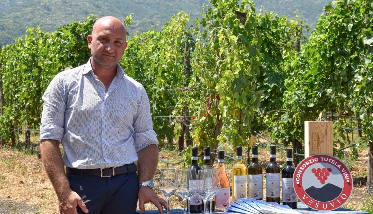 I vini del Vesuvio penalizzati dai “dazi” di Donald Trump: l’appello di Ciro Giordano, presidente del Consorzio Tutela Vini Vesuvio al Governo Italiano