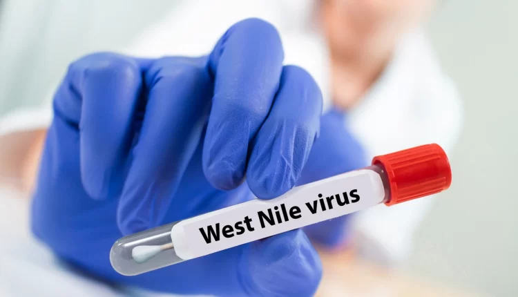 West Nile, pronta la campagna di disinfezione della Asl Na3 Sud “Proteggere la salute della popolazione”
