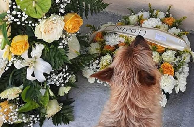 Le ceneri dei pet nelle tombe dei padroni, proposta in Campania: testo di legge varato in commissione, ora all’esame dell’Aula