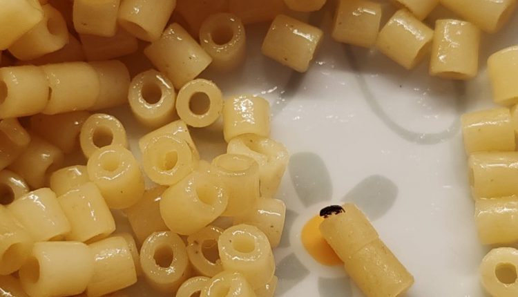 Non si placa la questione mensa a San Sebastiano al Vesuvio. Altri insetti nei piatti, il sindaco dispone la realizzazione di zanzariere, l’On. Borrelli denuncia tutto ai NAS