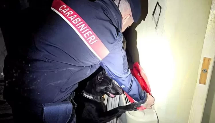 ALTO IMPATTO NELLE “PALAZZINE” – Controlli nei rioni popolari di Somma Vesuviana, Brusciano e Marigliano. i Carabinieri sequestrano armi e droga