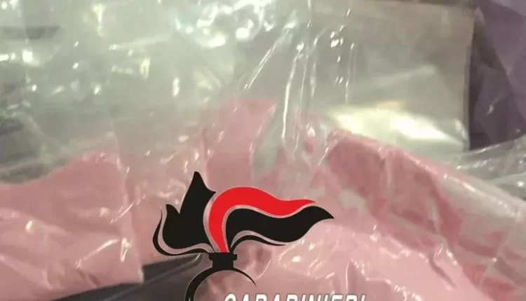 Cocaina rosa, dosi per 100mila euro nella casa di una mamma pusher incensurata, I carabinieri sequestrano la droga, la donna ai domiciliari