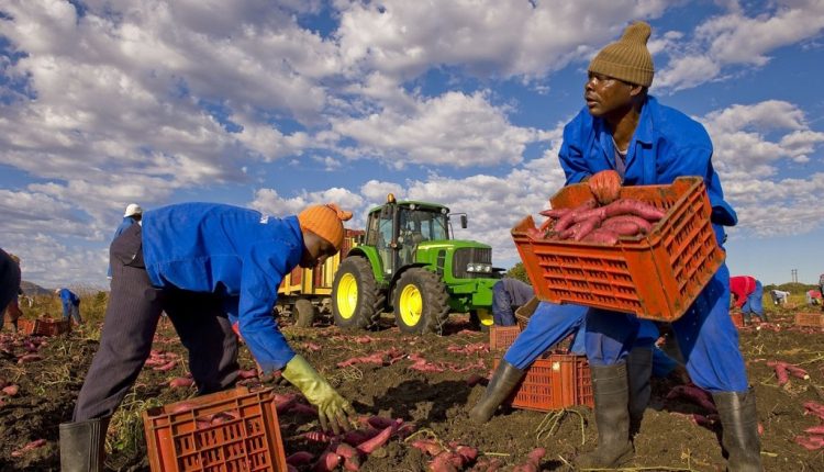 Caporalato e sfruttamento lavorativo, a Marigliano la presentazione di “Vite a basso costo”, il report del CNCA al centro di un confronto pubblico su diritti negati, buone pratiche e contrasto allo sfruttamento nel territorio vesuviano