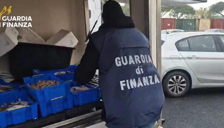 Pesce a prezzi bassi evadendo Iva, sequestro da 17,6 milioni in 5 province: da Napoli a Milano l’indagine dei finanzieri su truffa, frode e riciciclaggio